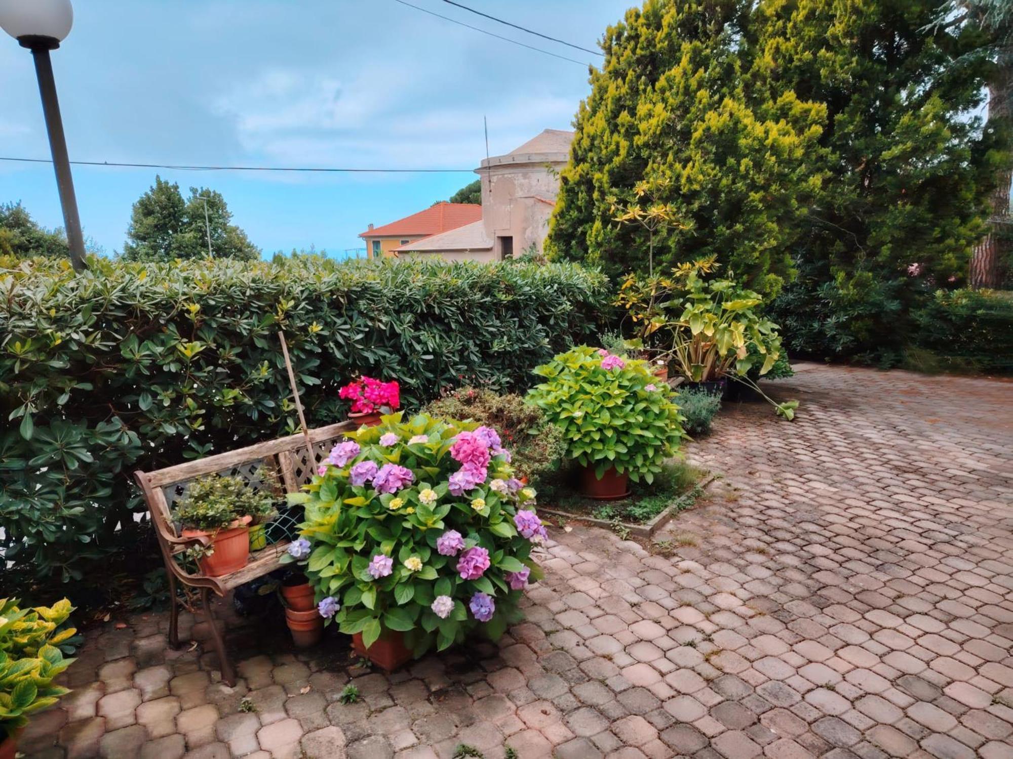 Hotel Silvia Framura - Cinque Terre Exterior foto