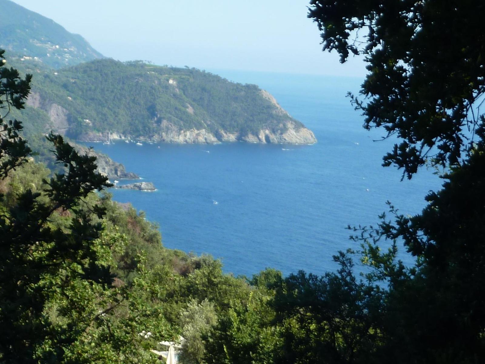 Hotel Silvia Framura - Cinque Terre Exterior foto